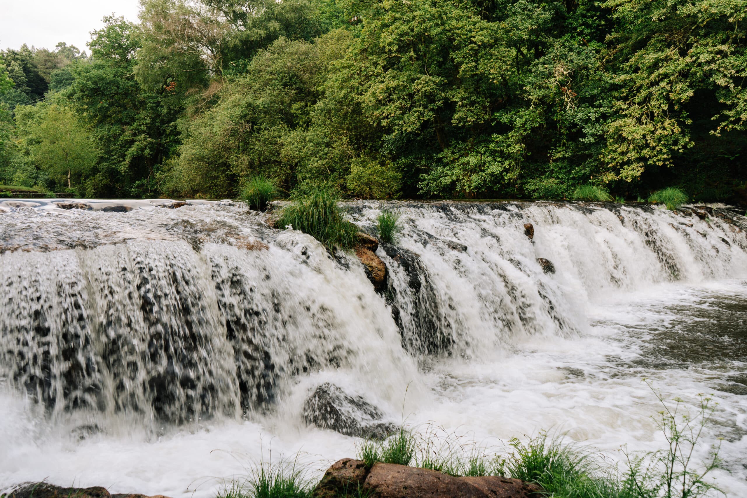 Diana Stewart Insurance Agent